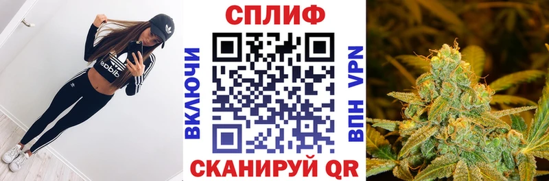 Магазины продажи наркотиков Новоалександровск Кокаин Меф Галлюциногенные грибы Канабис Альфа ПВП Амфетамин