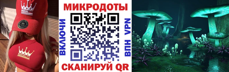 KRAKEN ссылка  сколько стоит  Новоалександровск  Псилоцибиновые грибы мицелий 